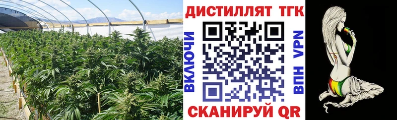 ТГК концентрат Новокубанск