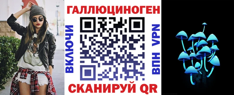 дарнет шоп  гидра вход  Псилоцибиновые грибы мухоморы  Новокубанск 